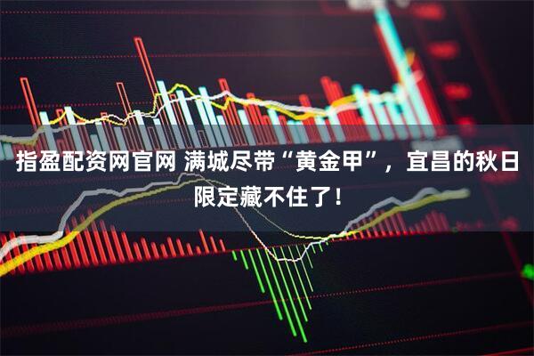 指盈配资网官网 满城尽带“黄金甲”，宜昌的秋日限定藏不住了！