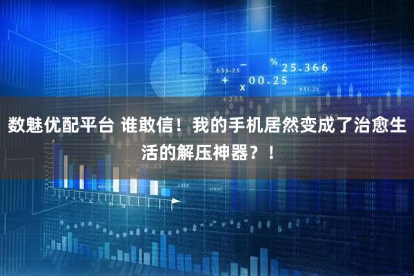 数魅优配平台 谁敢信！我的手机居然变成了治愈生活的解压神器？！