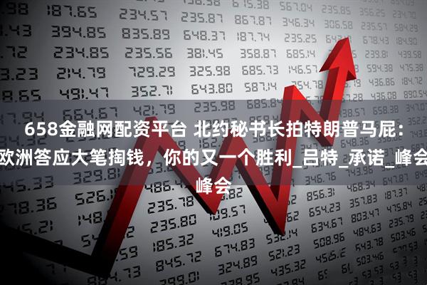 658金融网配资平台 北约秘书长拍特朗普马屁：欧洲答应大笔掏钱，你的又一个胜利_吕特_承诺_峰会