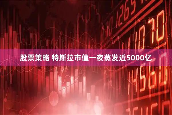股票策略 特斯拉市值一夜蒸发近5000亿